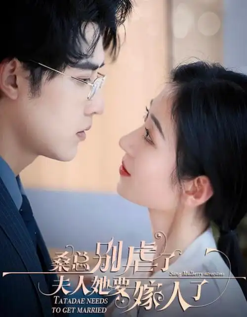 尘封档案 热播电视剧全集在线观看
